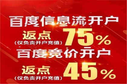 百度竞价包年推广策略——某行业巨头的成功经验